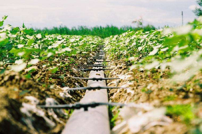 昆明节水灌溉