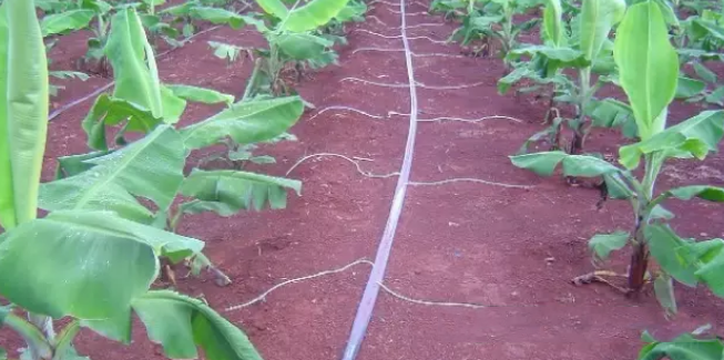 昆明节水灌溉设备