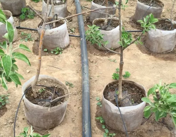 昆明滴灌设备 昆明滴灌设备